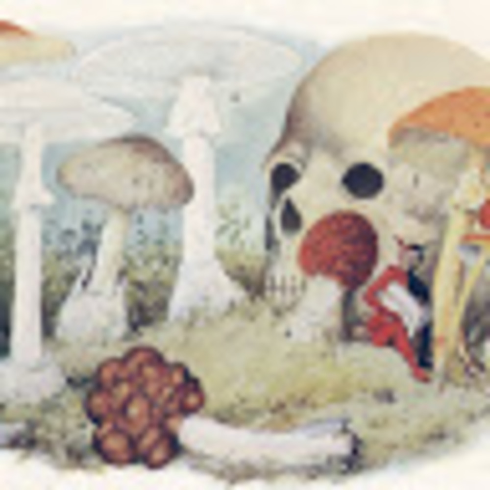 Meet your Posher, Kerrie